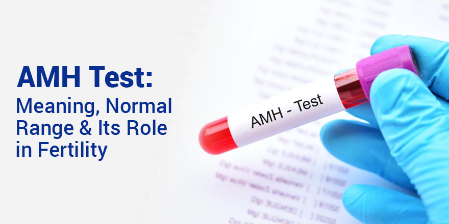 AMH Test: Meaning, Normal Range, and Its Role in Fertility